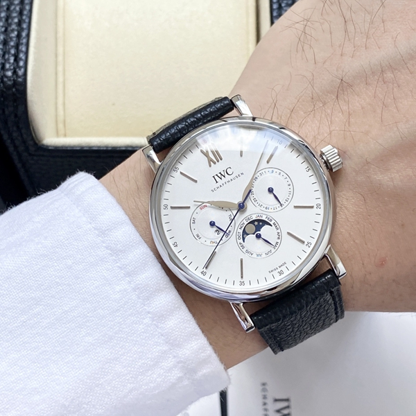 アイ・ダブリュー・シー着用イメージ